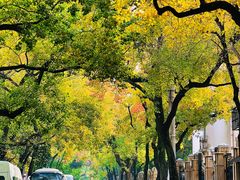 -上海安亭别墅花园酒店