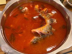 乌江鱼-芦苇荡·酸汤鱼(回龙观店)