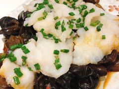 葱油捞起鱼片-金利茶餐厅(中船汇店)