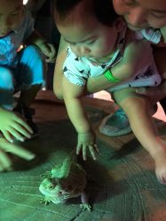 -酷嗒动物文化乐园(cutezoo西溪乐天城店)