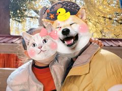 -宝通寺素菜馆(宝通禅寺店)