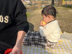 -合肥滨湖国家森林公园