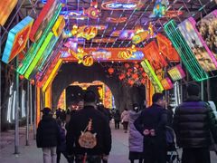 -淄博花灯齐彩城
