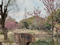 -无锡梅园公园