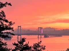 -星海湾跨海大桥