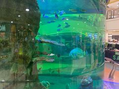 -尚泰清迈机场购物中心