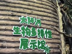 -普洱太阳河森林公园