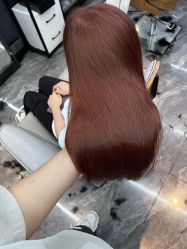 -藤野造型