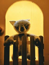 -疯狂冒险家-亲子密室-东坝店(金隅嘉品店)