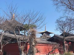 -广富林郊野公园