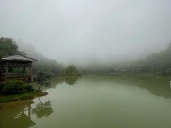 -广州白江湖森林公园