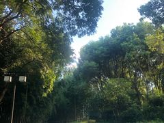 -苏州环秀晓筑养生度假村