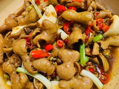 干锅肥肠-湘厨壹品(芙蓉广场店)