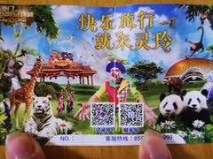 -灵玲国际马戏城