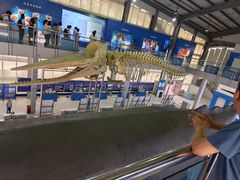 -上海海洋大学鱼文化博物馆(军工路校区)