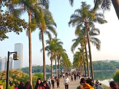 -南宁南湖公园