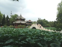 -莲池书院博物馆