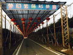 -武汉紫薇都市田园