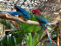 -杭州开元森泊度假乐园