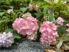 -常州古运河南大街文化旅游区-人民公园