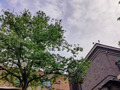 -麦落精酿啤酒餐吧(先农大院店)