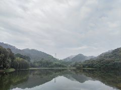 -东莞市虎英郊野公园