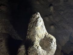 -地心探险极地