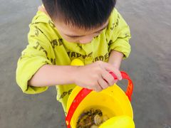 -刘家湾赶海园