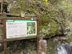 -石台牯牛降景区