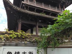 -鲁镇