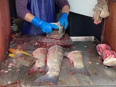 -梅记大块头爆鱼店(乍浦路店)