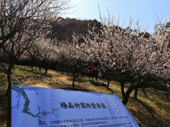 -无锡梅园公园