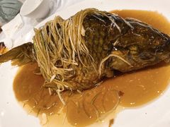 罾蹦鲤鱼-津菜典藏河西店(水上店)