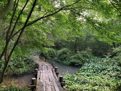 -杭州半山国家森林公园