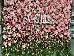 -奔驰利星行(北京花乡店)