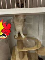-第五极儿童乐园
