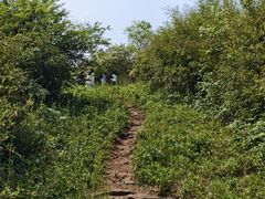 -东明山森林公园