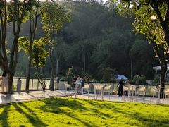 -火炉山森林公园