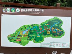 -西双版纳原始森林公园