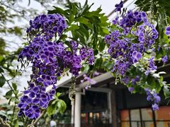 -缘生态云南菜·野生菌庭院餐厅(华侨城店)
