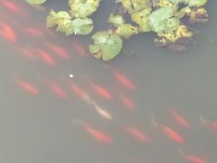 -无锡动物园·太湖欢乐园