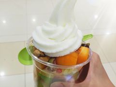 -三佰瑞冻酸奶(凯德MALL店)