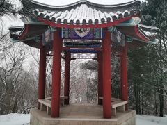 -云岗森林公园