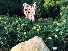 -人民公园(罗湖区)