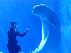 -多彩贵州城极地海洋世界