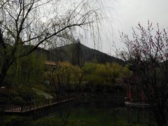 -冶父山国家森林公园