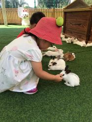 -萌宠亲子动物乐园(槐房万达店)