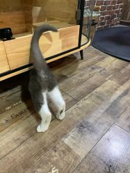 -青木造型HAIR·あおき髪を刈る潮人店