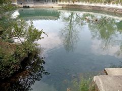 -黑龙潭公园