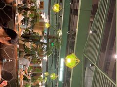-春润大地海南椰子鸡(沙井京基百纳广场店)